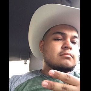 Meet your Posher, Hector